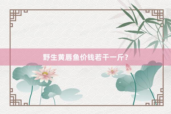 野生黄唇鱼价钱若干一斤？