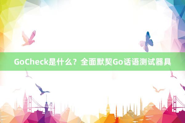 GoCheck是什么？全面默契Go话语测试器具