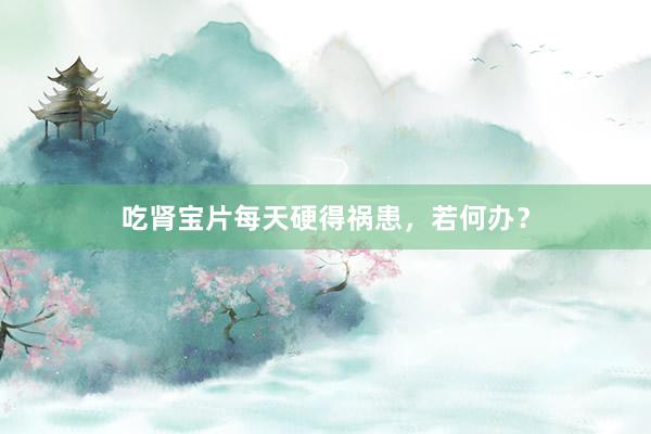 吃肾宝片每天硬得祸患，若何办？