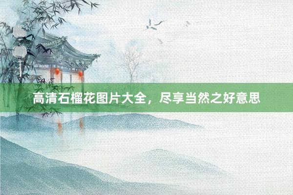 高清石榴花图片大全，尽享当然之好意思