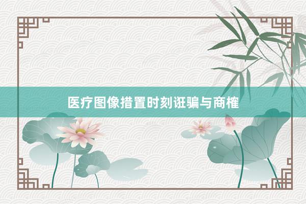 医疗图像措置时刻诳骗与商榷