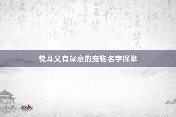 悦耳又有深意的宠物名字保举