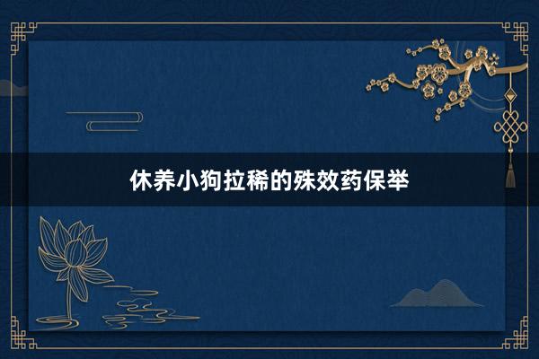 休养小狗拉稀的殊效药保举