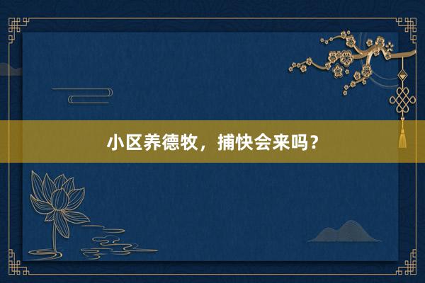 小区养德牧,捕快会来吗?